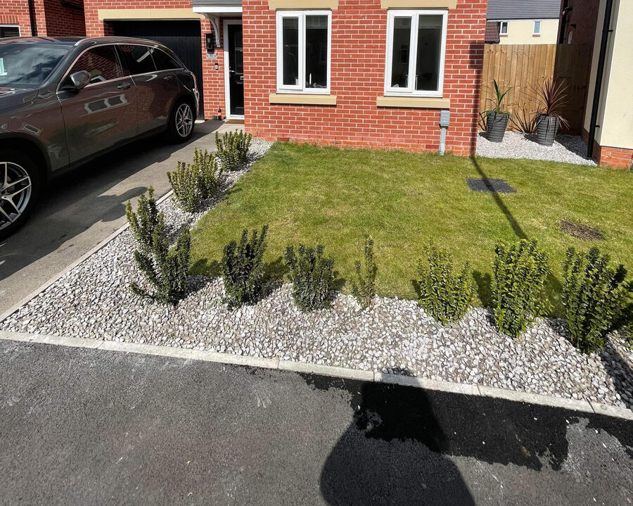 Before Turf Removal